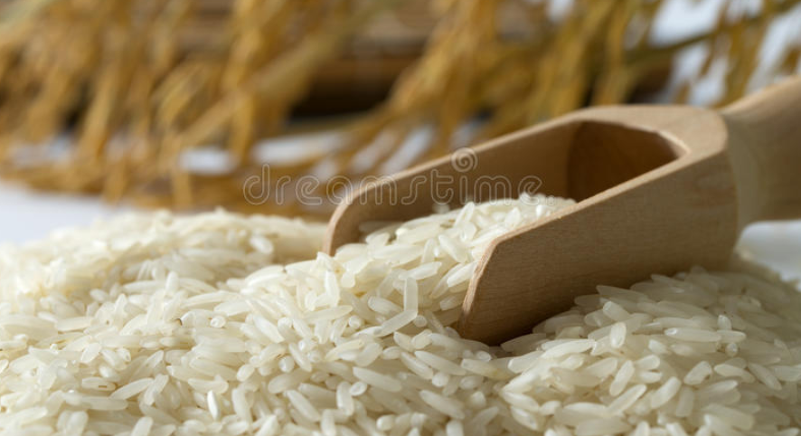 Rices & Grains