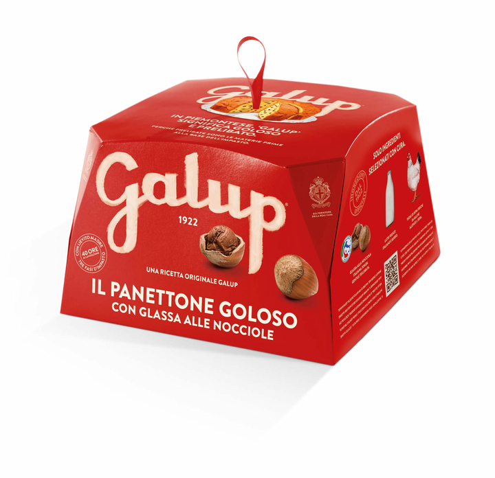 Medium Galup Traditional  panettone bundle, BUY 2 and SAVE!