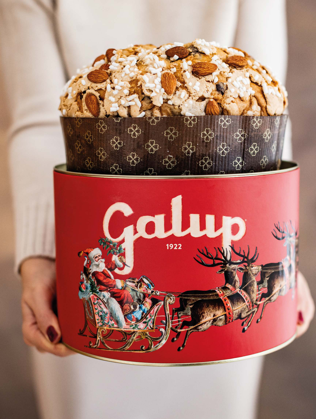Gran Galup Traditional Panettone 1KG