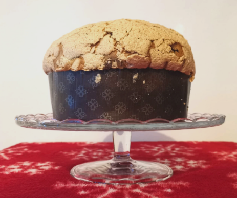 Large Galup Traditional Panettone bundle. BUY 2 and SAVE