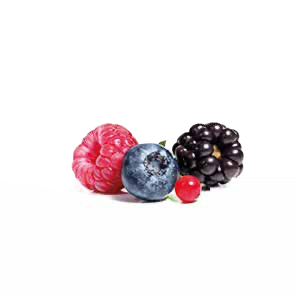Golosi Wildberries, white chocolate and hazelnut icing panettone 750g